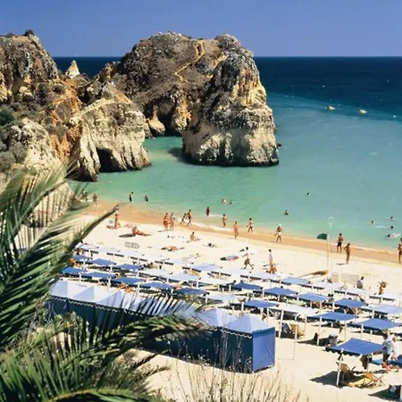 公寓 Terrace Flat *